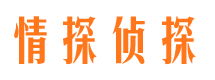 岳池侦探